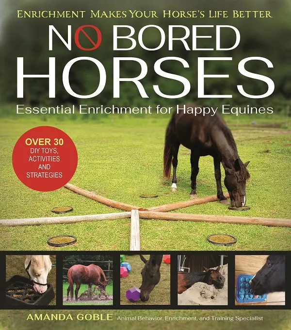 No Bored Horses - Essential Enrichment for Happy Equines