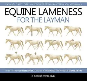 Equine Lameness for the Layman