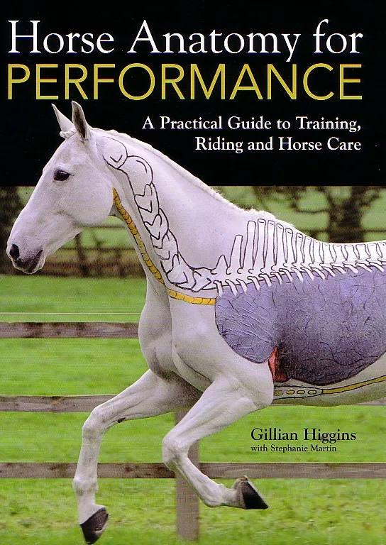 Horse Anatomy For Performance