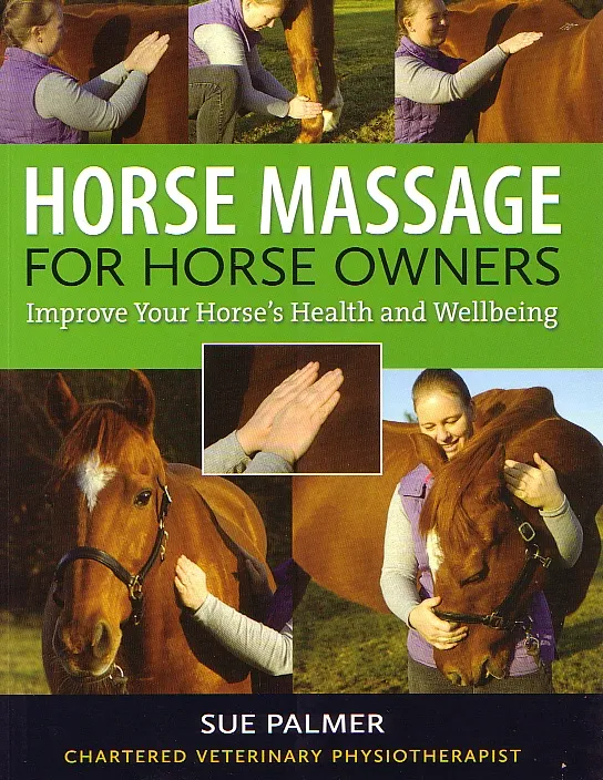Horse Massage For Horse Owners