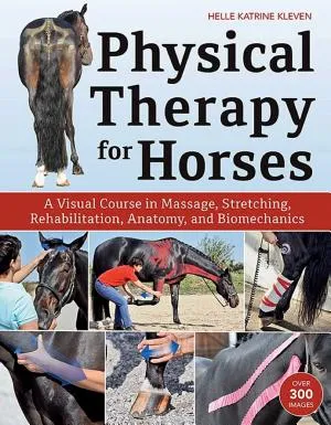 Physical Therapy for Horses