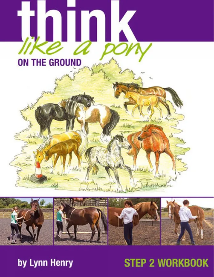 Think Like a Pony on the Ground: Work Book 2