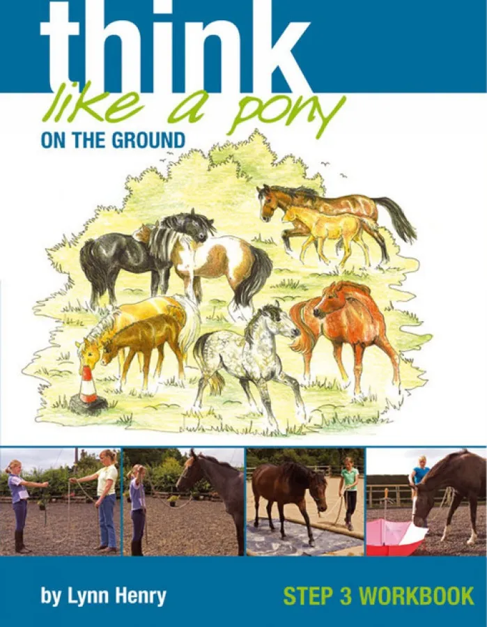 Think Like a Pony on the Ground: Work Book 3