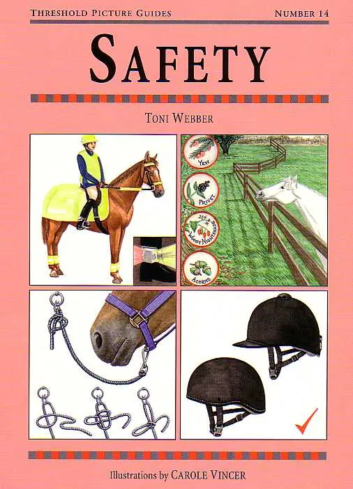 Threshold Picture Guide No. 14: Safety