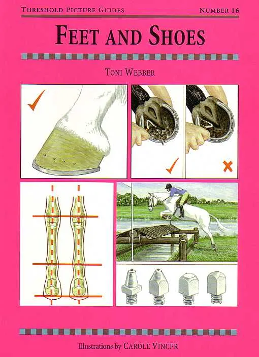 Threshold Picture Guide No. 16: Feet and Shoes