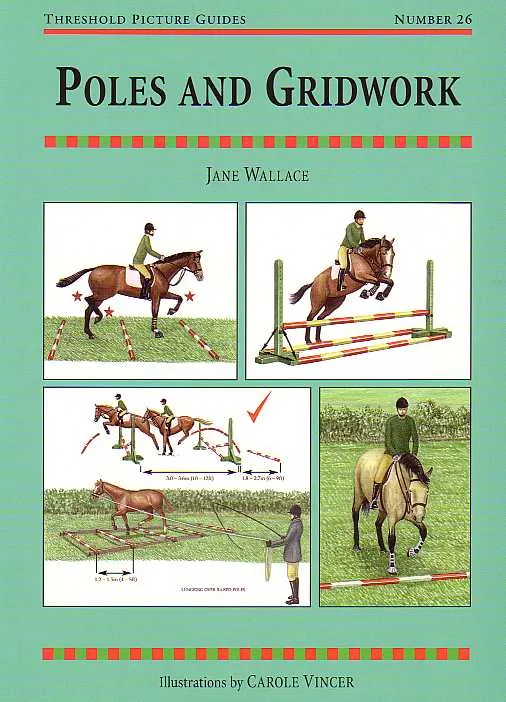 Threshold Picture Guide No. 26: Poles and Gridwork