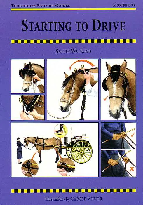 Threshold Picture Guide No. 28: Starting to Drive