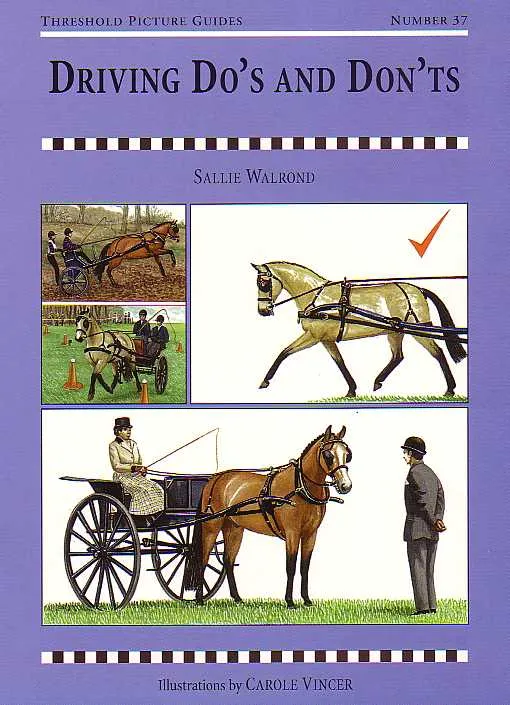 Threshold Picture Guide No. 37: Driving Do's and Don'ts