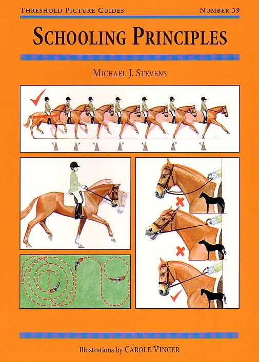 Threshold Picture Guide No. 39: Schooling Principles