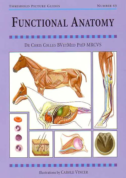 Threshold Picture Guide No. 43: Functional Anatomy