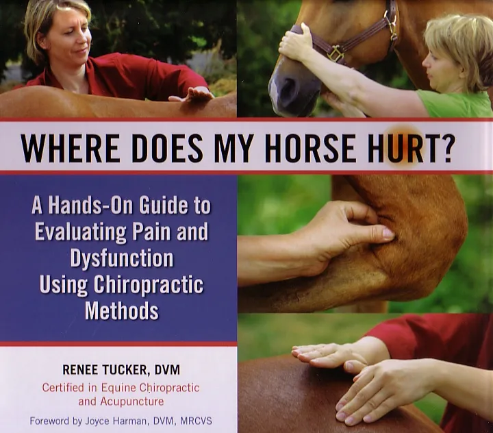 Where Does My Horse Hurt?